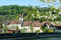 Printemps au Jura