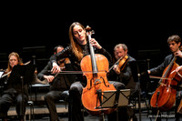 CPE Bach Cello